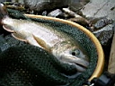 2007-05-22 023.JPG